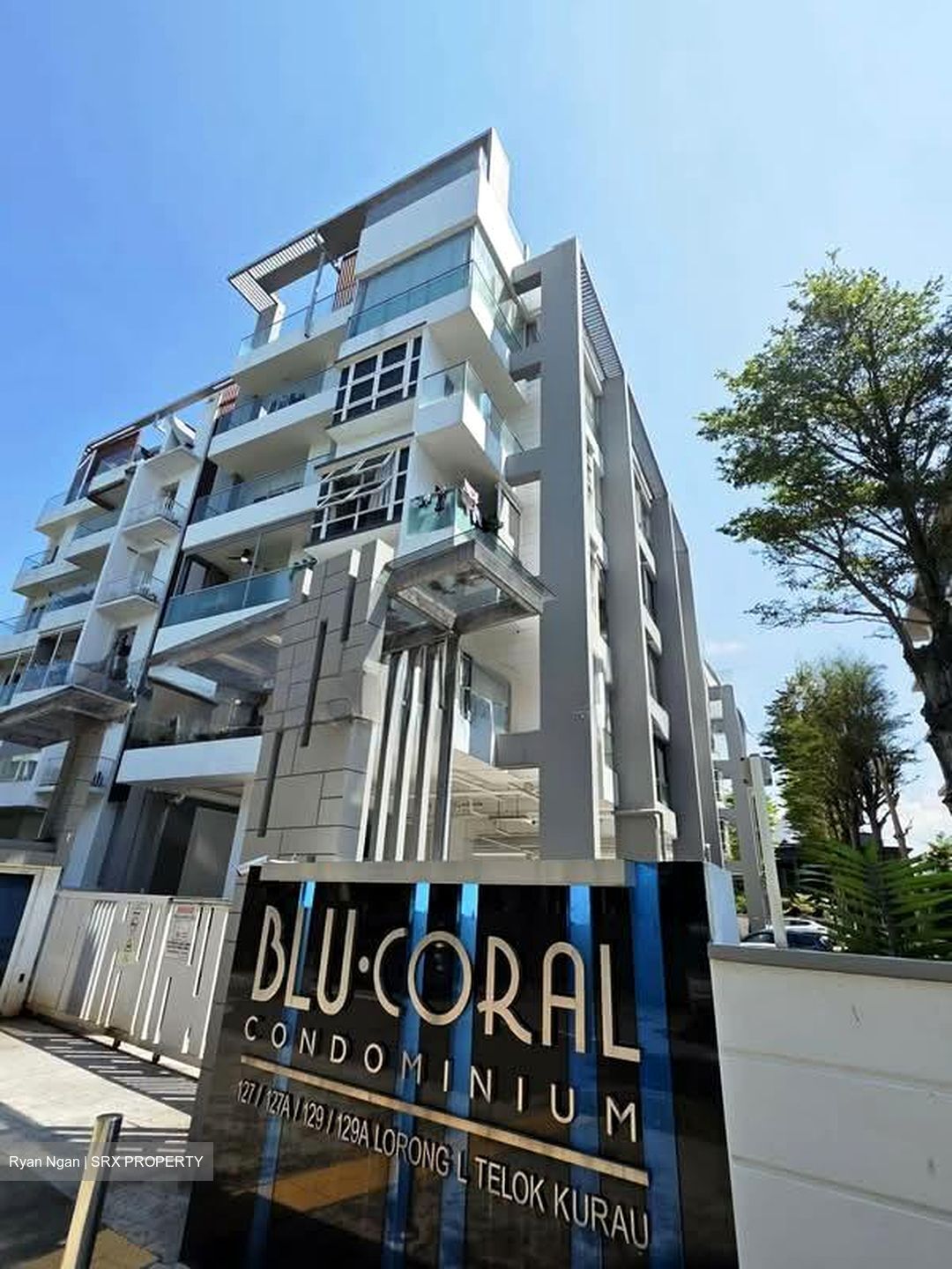 Blu Coral (D15), Condominium #575127371
